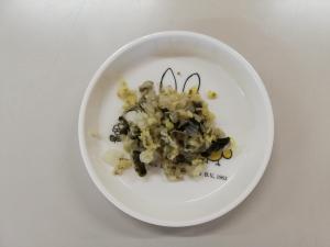 白菜のいそべ和えの写真