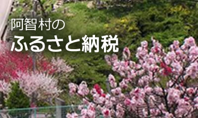 阿智村のふるさと納税