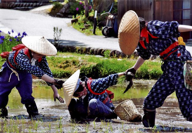 阿智村賞