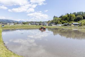 水田