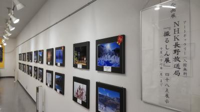 展示写真