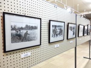 展示写真の一部