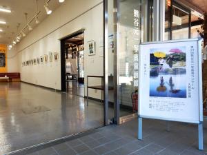 展示入口