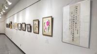 展示の写真