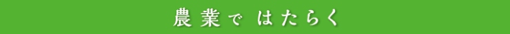 農業ではたらく