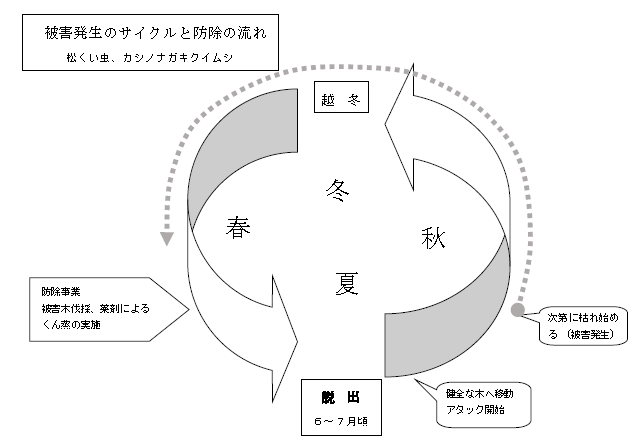 森林病害虫図