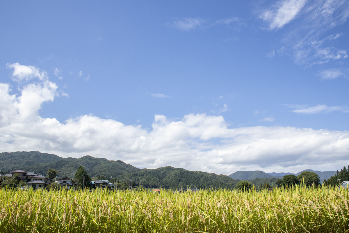 田園風景 長野県阿智村公式ウェブサイト